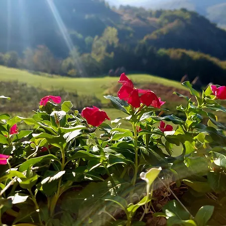 Nyaraló Kuca Za Odmor Andrea Bajina Bašta