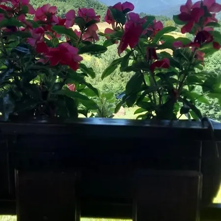 Kuca Za Odmor Andrea * 바이나 바슈타