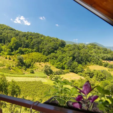 Kuca Za Odmor Andrea Nyaraló Bajina Bašta