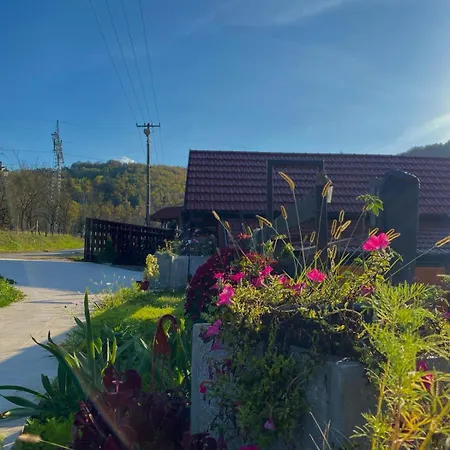 Kuca Za Odmor Andrea * Bajina Bašta