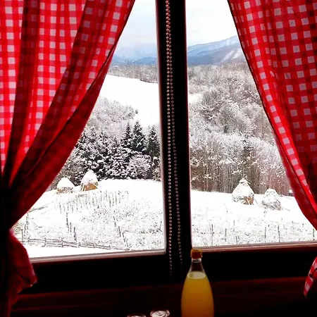 Kuca Za Odmor Andrea * 바이나 바슈타