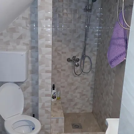 Kuca Za Odmor Andrea Nyaraló Bajina Bašta