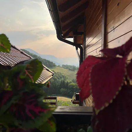 Kuca Za Odmor Andrea 펜션 *