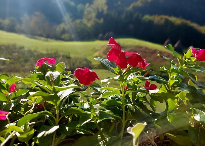 度假居 Kuca Za Odmor Andrea 巴伊纳巴什塔