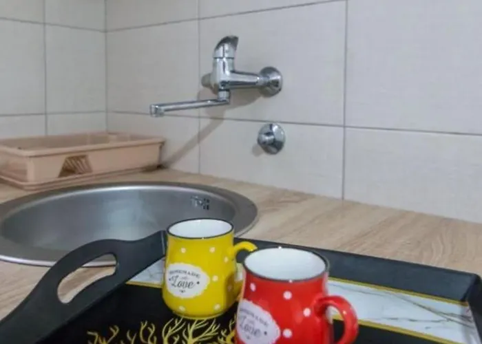 Kuca Za Odmor Andrea 巴伊纳巴什塔