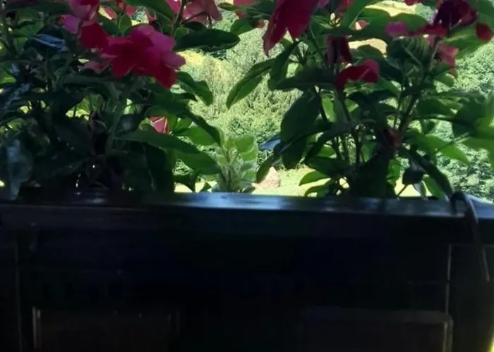 Kuca Za Odmor Andrea * 巴伊纳巴什塔