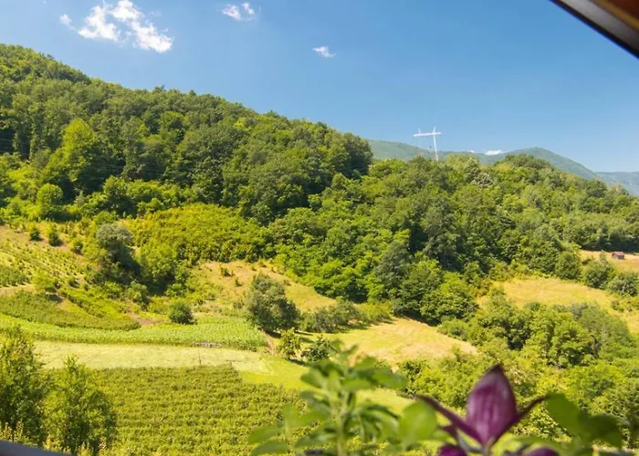 Kuca Za Odmor Andrea 度假居 巴伊纳巴什塔