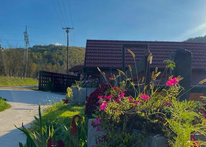 Kuca Za Odmor Andrea * 巴伊纳巴什塔